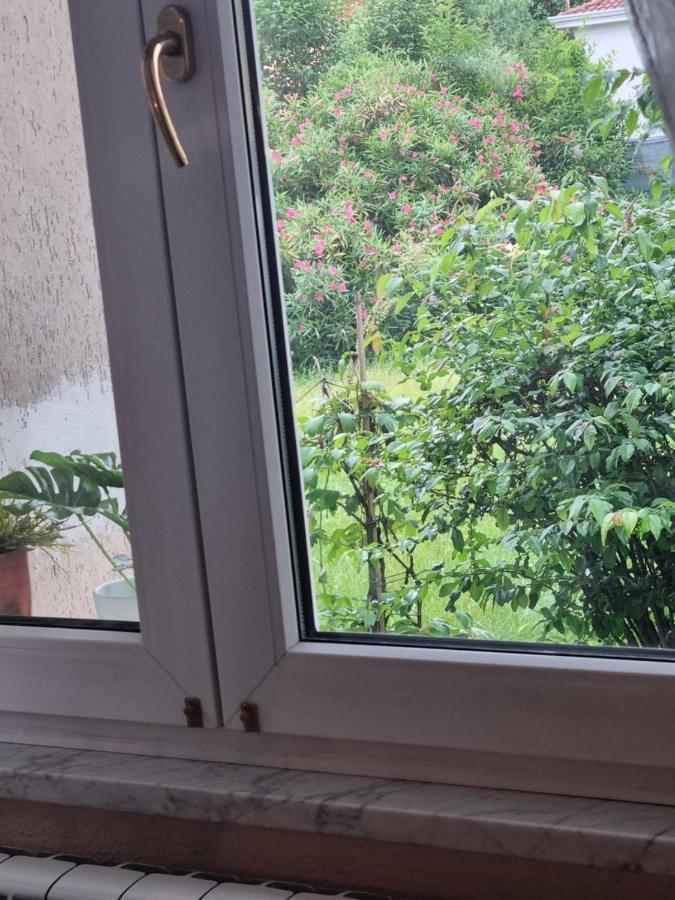 Alloggio Silva Gorizia Kültér fotó